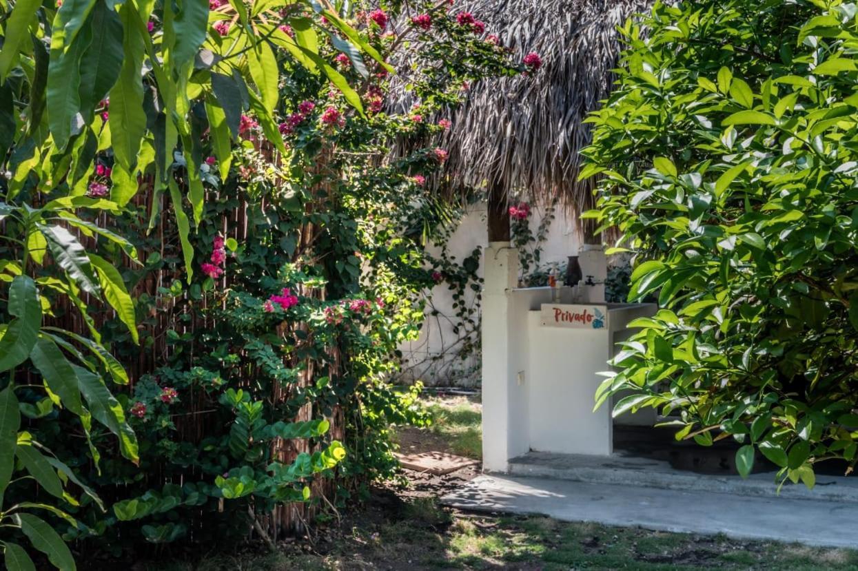 Zoah Surf Boutique Hotel, El Paredon El Paredón Buena Vista المظهر الخارجي الصورة